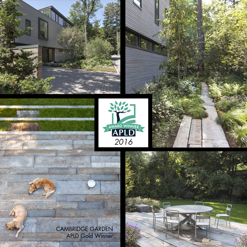 2016-APLD-Award-Winner-Cambridge-Garden-Matthew-Cunningham-Landscape-Design
