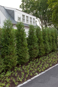 Lockwood Road – Matthew Cunningham Landscape Design LLC