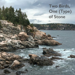 Acadia-Matthew-Cunningham-Landscape-Design