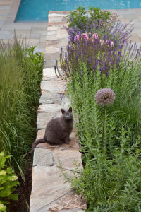FEATURED-IMAGE-08-Matthew-Cunningham-Landscape-Design-Charles-River-Garden