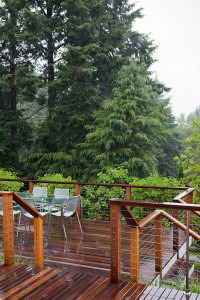 FEATURED-IMAGE-12-Matthew-Cunningham-Landscape-Design-Farlow-Hill