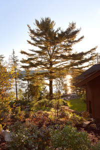 FEATURED-IMAGE-15-Matthew-Cunningham-Landscape-Design-Le-Petit-Chalet