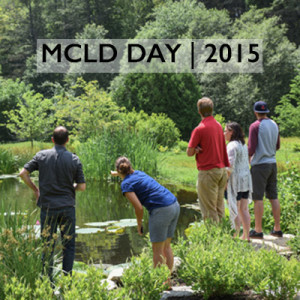 MCLD-DAY-Matthew-Cunningham-Landscape-Design