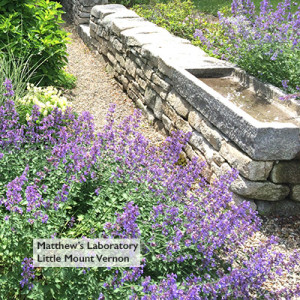 Matthew-Cunningham-Landscape-Design-Matthew’s-Laboratory