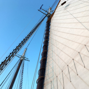 Matthew-Cunningham-Landscape-Design-Bon-Voyage