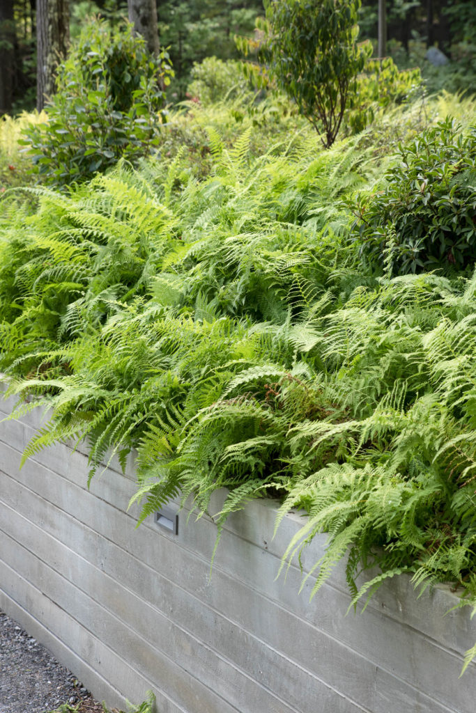 Berkshire Residence in Great Barrington, MA