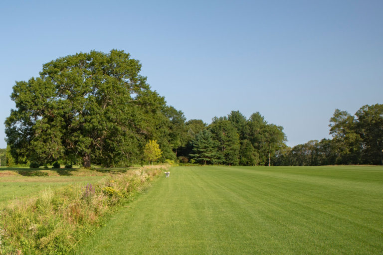 Folly Fields – Matthew Cunningham Landscape Design LLC