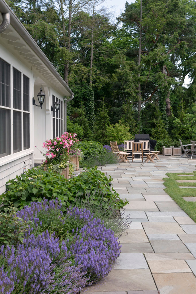 Reservoir Street Garden – Matthew Cunningham Landscape Design LLC