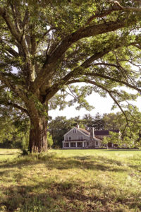 _Matthew-Cunningham-Landscape-Design-Folly-Fields
