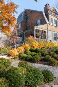 *Matthew-Cunningham-Landscape-Design-Pill-Hill