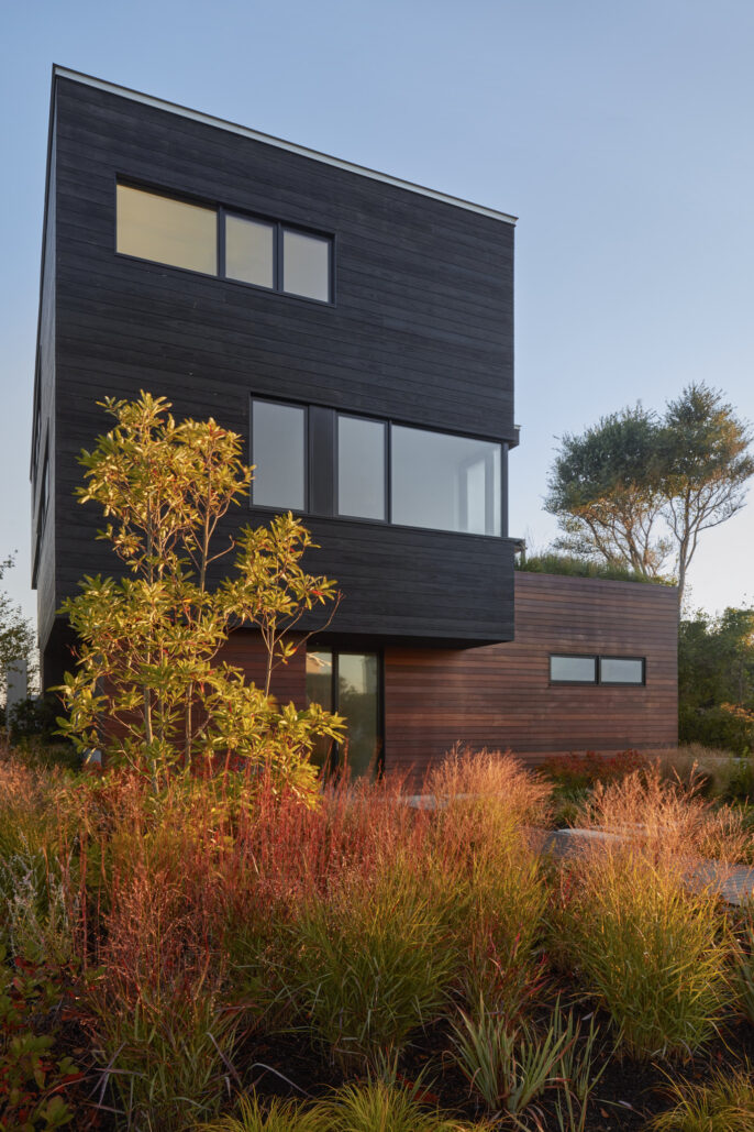 03-Matthew-Cunningham-Landscape-Design-Longbeach-Garden